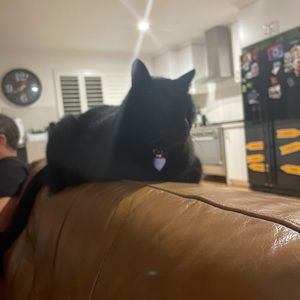 Meet your Posher, Emma